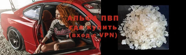 стаф Саяногорск
