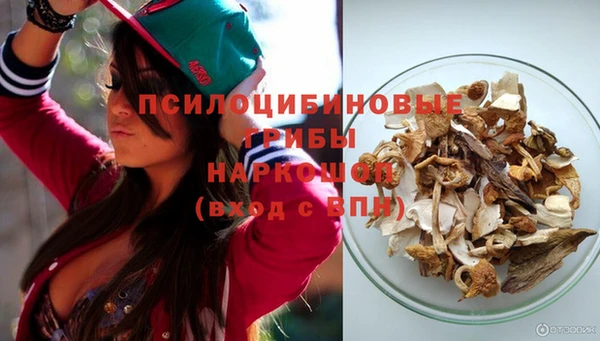 соль ск Сафоново