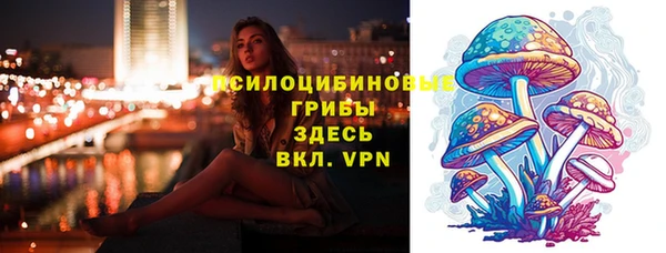 стаф Саяногорск