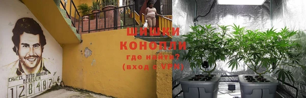 стаф Саяногорск