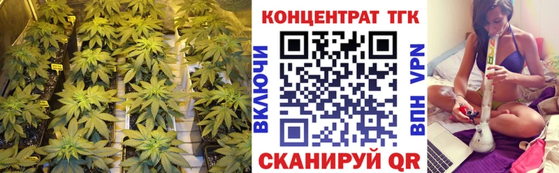 Купить где  Цимлянск  ТГК вейп 