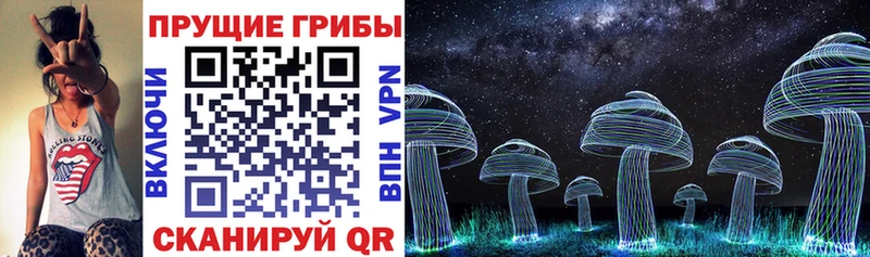 Псилоцибиновые грибы Magic Shrooms  Купить закладки  Цимлянск 